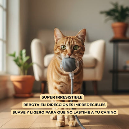 Play&Care Kit™ de Diversión y Aseo Canino.